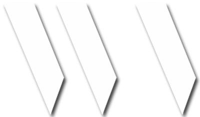 white villas logo